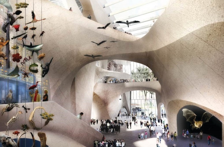 Museum of Natural History