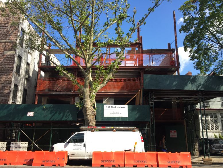 111 Clarkson Avenue, photo by Tectonic