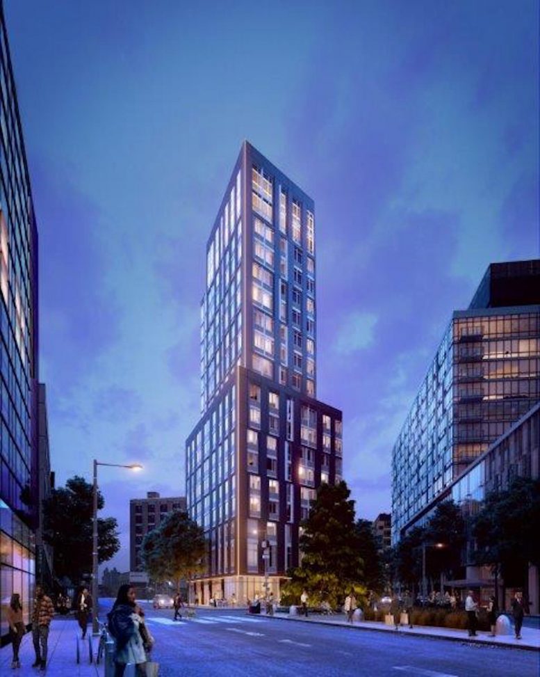 The Cove in Long Island City