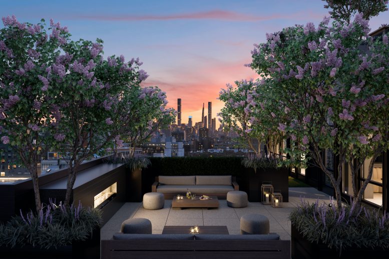 Sixth Floor Terrace of The Astor LIC, at 36-20 Steinway Street in Queens