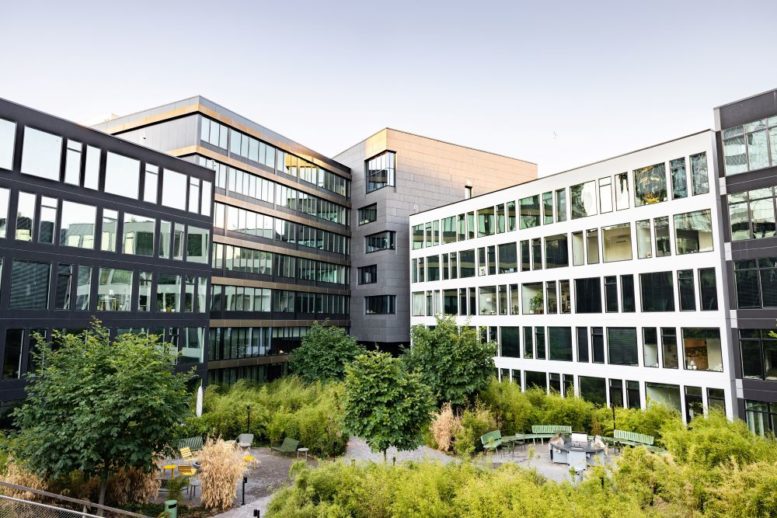View of the Stamford Urby courtyard