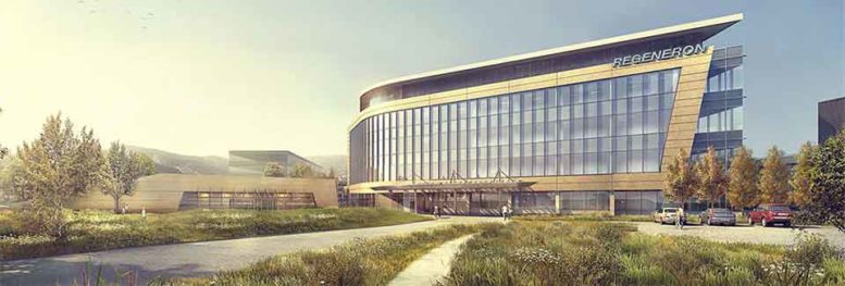 The Regeneron Pharmaceuticals campus in Tarrytown