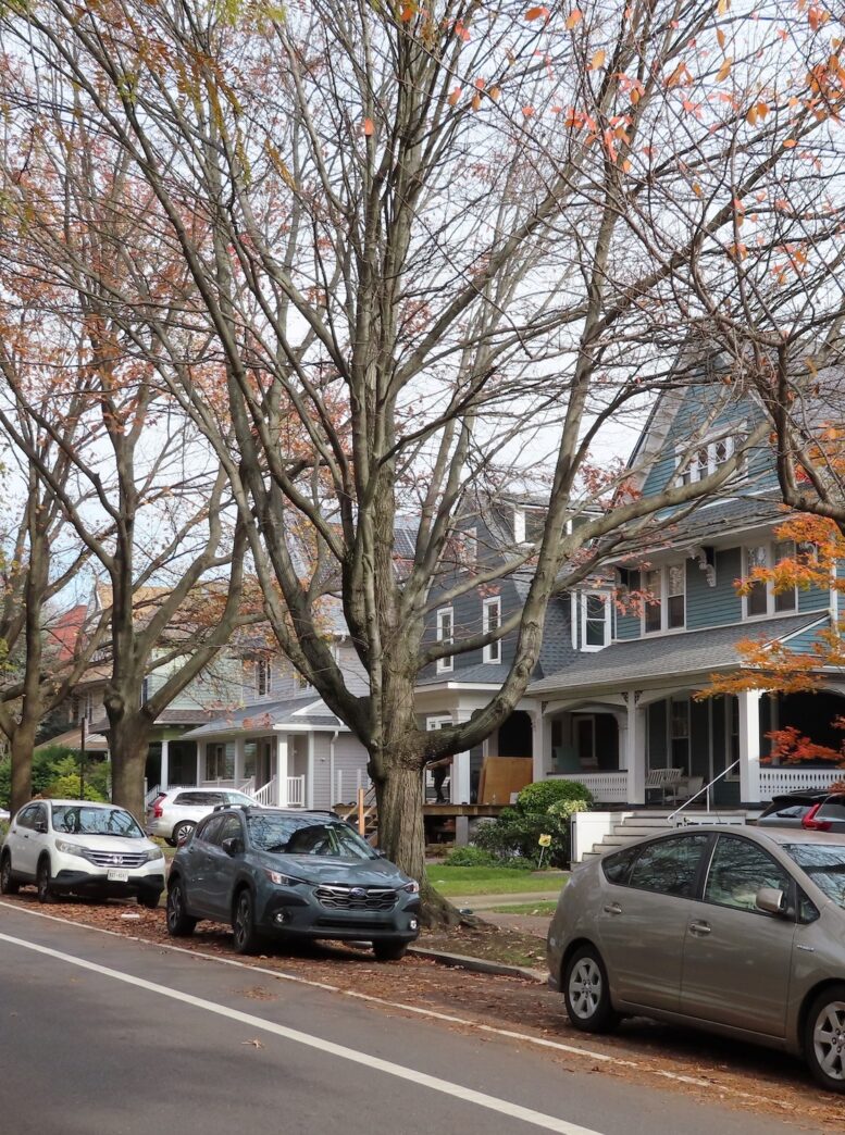 Ditmas Square West Historic District, via LPC.