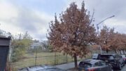 913 Kent Avenue, via Google Maps.
