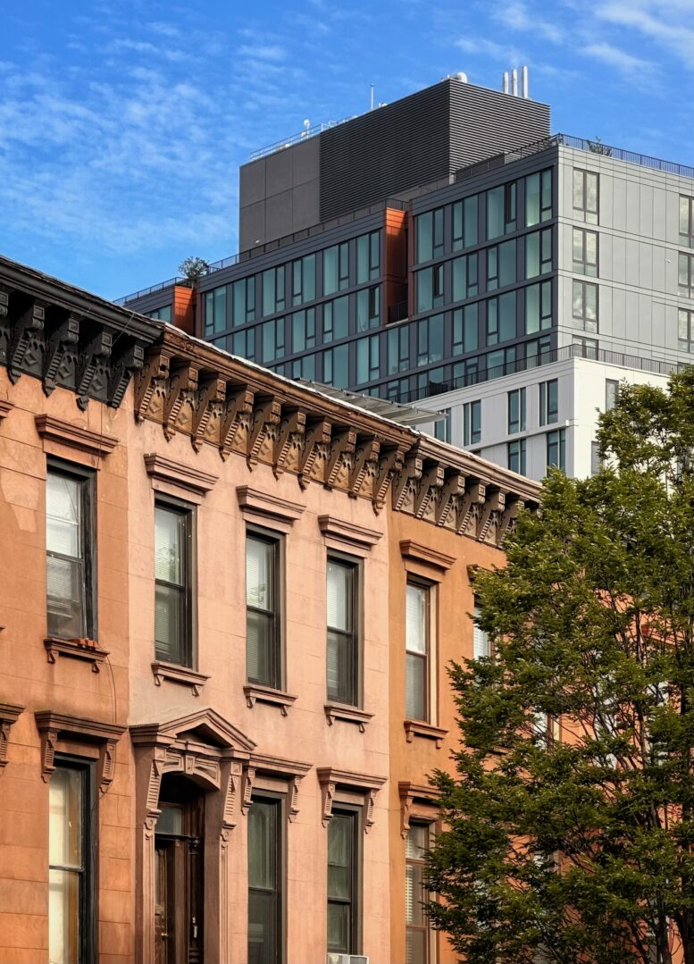 Crown Heights. Photo by Michael Young.