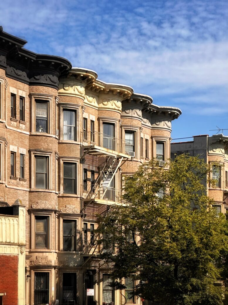 Crown Heights. Photo by Michael Young.
